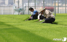 내일은 곡우 본격적인 농사철 시작