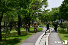 미세먼지 없는 포항 철길숲