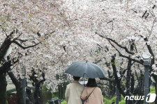 비 내리는 주말…레일바이크도 타고 운치도 즐겨요