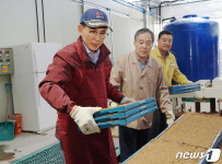 이완섭 서산시장, 대산농협 벼 공동육묘장 찾아 일손 보태