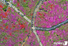 주말 나들이객 반기는 철쭉