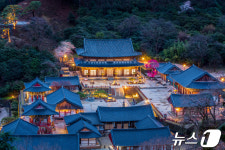 300살 홍매화의 아름다움 찰칵…화엄사 사진콘테스트 수상자 발표