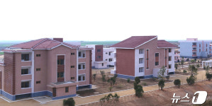 북한 황해남도 청단군 신생농장의 새로운 살림집 전경