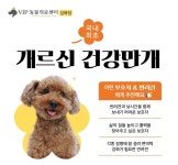 VIP동물의료센터 성북점, 노령견 위한 개르신 건강만개 출시