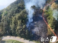 부산 장산 억새밭 일원서 화재… 1500㎡ 소실