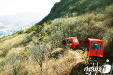 운행 재개 2달 만에 4차례 멈춘 거제관광모노레일, 영업중단