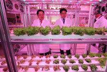 스마트팜도 도심에서