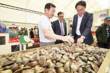 화재로 소실된 서천특화시장, 임시시장 개장