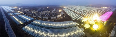 노동신문, 강동온실농장 조명…인민의 나라, 인민의 세상