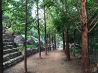 민간정원 가볼까? 충주시 민간정원 발굴로 정원문화 확산