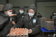 달걀 안전관리 현장 찾은 오유경 식약처장