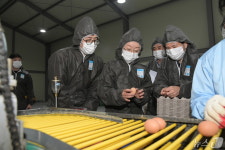 달걀 안전관리 현장 방문한 오유경 식약처장