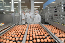 오유경 식약처장, 달걀 안전관리 현장 찾아