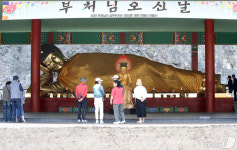 소원성취 영천 만불사 와불