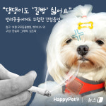 댕댕이도 길빵 싫어요…반려동물에게 위험한 간접흡연[펫카드]