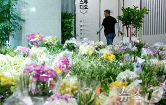 의원회관에 가득한 난 '22대 국회 등원 축하'