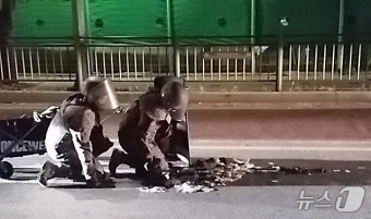 성동구 도로에 뿌려진 대남 오물풍선