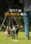 합리적인 가격으로 누리세요…강아지숲, 연간회원권 출시