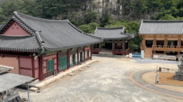 유인촌 장관이 청년들과 찾은 이곳…보랏빛 동해 매력에 흠뻑