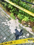 성북구 어린이집·교회 인근서 대남풍선 발견… 오후 2시까지 10건 접수