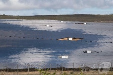 [포토]인삼밭 아닙니다…태양광 발전 주도국 남아공