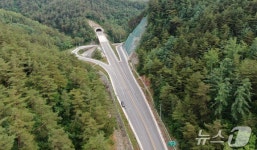 휴가철 강원랜드 가는 길 좋아졌다… 국도 59호선 덕우~신월 개량 완료