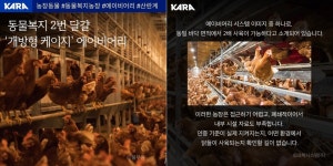 동물복지 2번 달걀의 배신?…산란계 개방형 케이지 사육 논란
