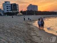 [르포]이틀째 펄펄 끓는 강릉의 밤…열대야 피난처 찾아 바다로, 다리로