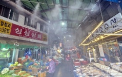 시원한 장보기…정읍시, 샘고을시장에 안개분무시설 가동
