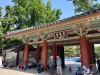 그늘 없어 여기로…가로수 아래 더위 피하는 어르신 옹기종기