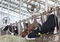 축사도 폭염 대비