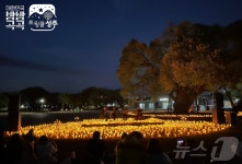 야간관광 특화도시 성주군, 16일 성밖숲서 야간 키즈콘서트