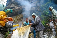 [포토]험난한 절벽서 석청 채취하는 네팔 구릉족