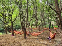 휴식·체험·힐링 한번에…증평 좌구산 휴양랜드 인기