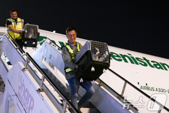 투르크 국견 '알라바이', 인천공항 도착