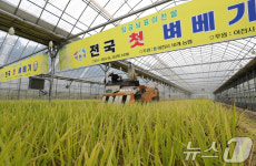 이천 호법면서 올해 전국 첫 벼베기