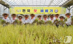 이천시, 전국 첫 벼 베기…모내기 125일 만에 수확