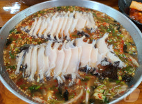 [맛있는 향토일·鄕土日]비결은 신선함…제철물회에 도민까지 줄 선다