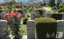 6.25전쟁 전몰장병 묘역 둘러보는 외국인들