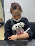 심장약 복용 중이던 강아지…빵빵해진 배 보고 깜짝[벳앤패밀리]