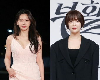 황정음 9억·서유리 3억…'전 남편, 이젠 남남이니 돈도 갚아아죠!' [N이슈]