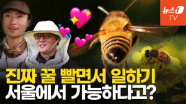[영상] 꿀도 따고, 돈도 버는 도시양봉 A to Z 알고 싶다면?