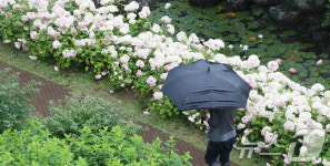 [오늘의 날씨]부산·경남(29일, 토)… 남해안·지리산 100㎜ 이상 강한 비