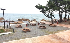 울산 동구, 주전 보밑항 피크닉장 무료 시범운영…총 25면 조성