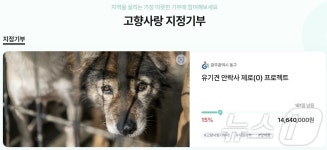 광주 동구, 고향사랑기부금 유기동물 구조 보호 사업 신규 선정