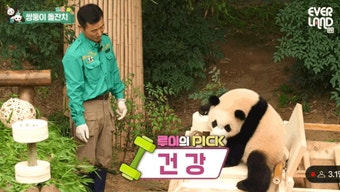 에버랜드, 쌍둥이 아기 판다 루이바오와 후이바오 2돌 생일 파티 개최