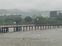 연동면 나흘간 300㎜…세종 집중호우에 41가구 53명 대피