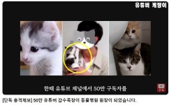 동물학대 논란 유튜버 갑수목장, 동물병원 원장 됐다 의혹 확산
