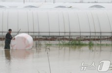 물에 잠겨버린 하우스