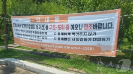 한밤중 차량 앞에 출몰 들개떼…대구 혁신도시 주민들 불안